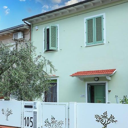 B&B Ulivo Gaio San Miniato Dış mekan fotoğraf